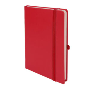 SNY301004 -TARİHSİZ DEFTER (13X21 CM)