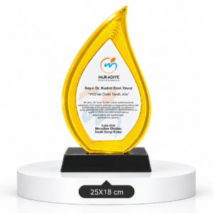 1045 KRİSTAL PLAKET