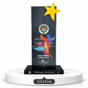 1003 KRİSTAL PLAKET