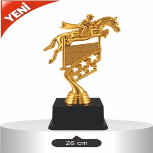 FG10 - BİNİCİLİK KUPA