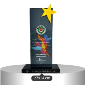 1003 KRİSTAL PLAKET