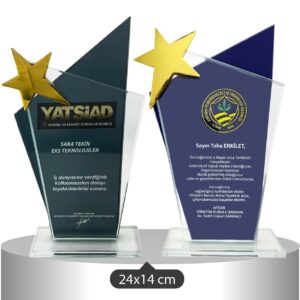 1029 KRİSTAL PLAKET
