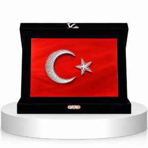 TC-21 PLAKET