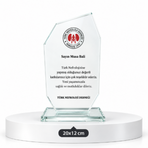 1008 KRİSTAL PLAKET