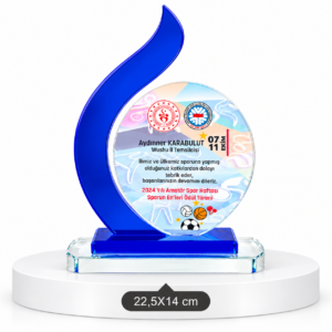 1041 KRİSTAL PLAKET