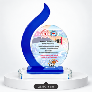 1041 KRİSTAL PLAKET