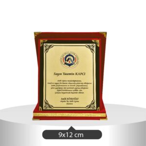 2001 PLAKET