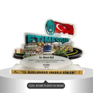 2208 PLEKSİ ÖDÜL